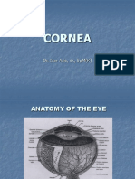 Anatomy and Causes of Corneal Inflammation (Keratitis