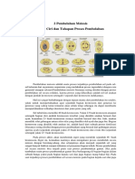 2 Pembelahan Meiosis