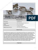 Are Pollutants and Emerging Diseases Endangering A Global Migratory Flyway?