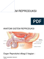 Sistem Reproduksi PDF