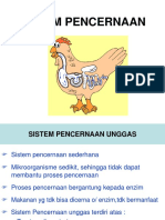 5. Sistem Pencernaan.ppt