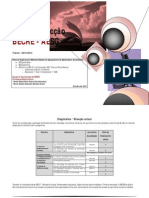 Plano de acção BECRE AESG 2010_2013