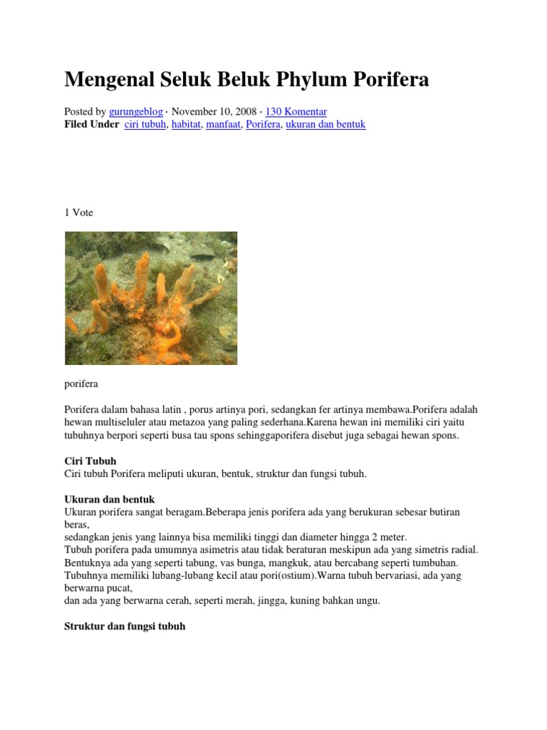 58 Gambar Struktur Tubuh Hewan Porifera HD Terbaru