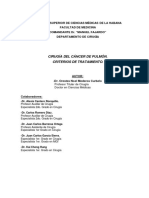 revision_de_cancer_de_pulmon.pdf