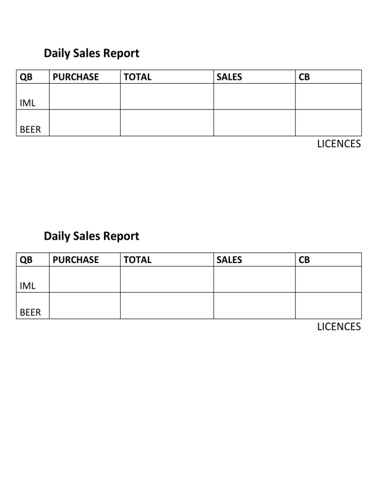 Daily Sales Report Overview | PDF | Home & Garden