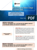 Medidas Coercitivas PDF