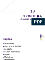 eia_zgomot.pdf