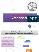 Clinica Veterinaria