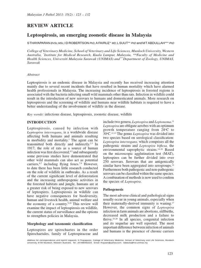 Curated visual reference: Picture Idea: Lepto Spiros Is Pdf Infection