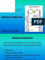 Tejido Endocrino, Histoloia