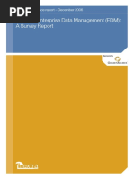 Issues in Enterprise Data Management (EDM)