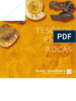 fosiles & catalogo de rocas.pdf
