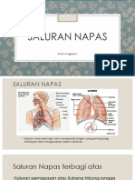 Saluran Napas