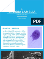 Giardia Lamblia: Medicinska Škola U Rijeci IV-5, Sanitarni Tehničari Parazitologija