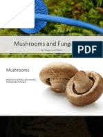 Mushrooms and Fungus of Wa 1