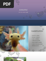 Axolotl Presentation