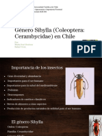 Control etológico de Sibylla spp. (Coleoptera: Cerambycidae) en Chile mediante semioquímicos