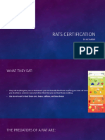 Rat Certification