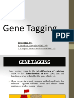 Gene Tagging: Presented by