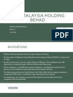 MSM Malaysia Holding Behad