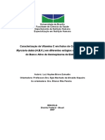 2007 LuzHaydeeBravoZamudio PDF