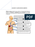 Conceptualizacion y Clasificacion de Alimentos