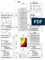 RULA Plan Portugues