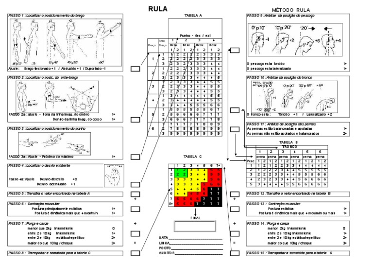 Análise Ergonométrica com RULA | PDF | Natureza