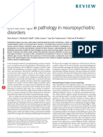 Penzes (2011) - Dendritic spine pathology in neuropsychiatric disorders.pdf