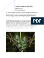 Especies colombianas de Cannabis