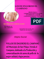 1 Portafolio -u.p Pollos de Engorde San Pelayo