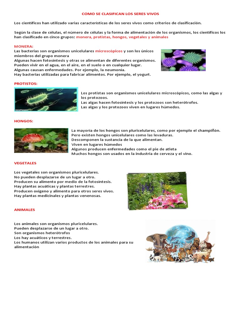 Clasificación de los Seres Vivos | PDF | Algas | Plantas
