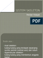 1. Sistem Skeleton