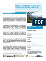 VALORACION_ECONOMICA_IMPACTOS_AMBIENTALES.pdf