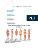 Los Sistemas Del Cuerpo Humano Son