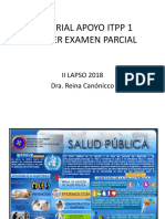 Material Apoyo Itpp 1 Ii-18 Primer Parcial PDF