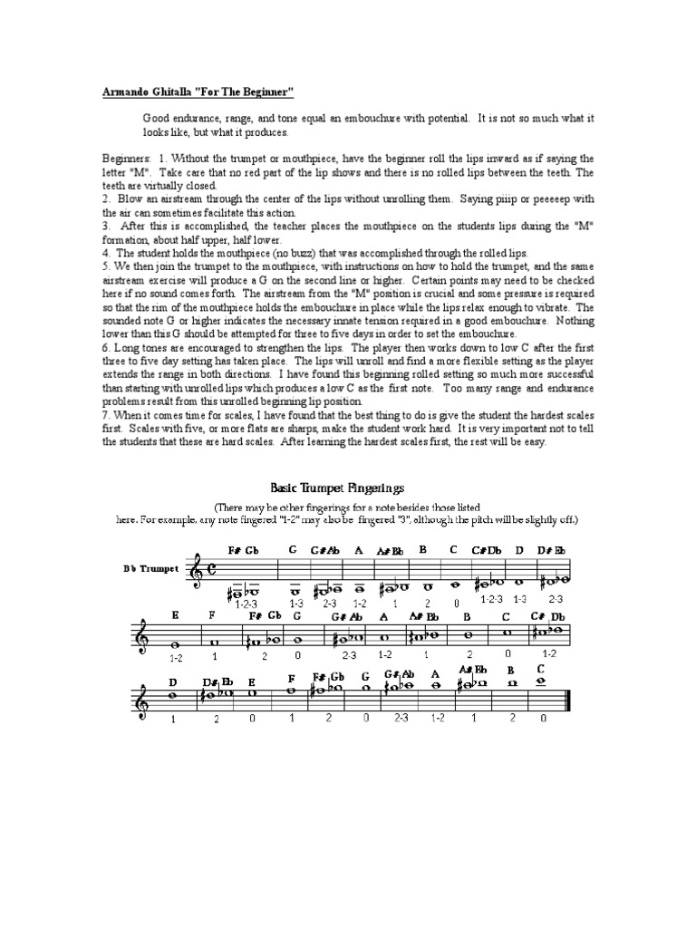 Trumpet Embouchure Techniques for Beginners | PDF | Breathing | Lung