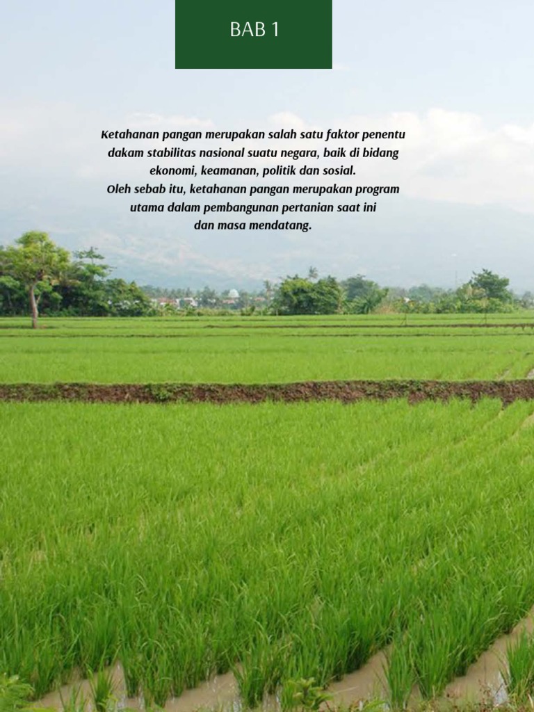 Buku Cetak Sawah Indonesia 2013 Embeded Pdf Pdf
