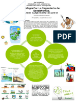 Infografia Ingenieria de Los Ecosistemas