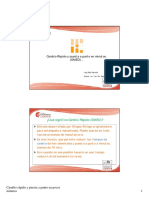 Smed Cambio Rapido PDF