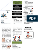 Leaflet RJP FX