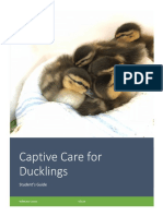 Students Guide Duckling Course Compressed