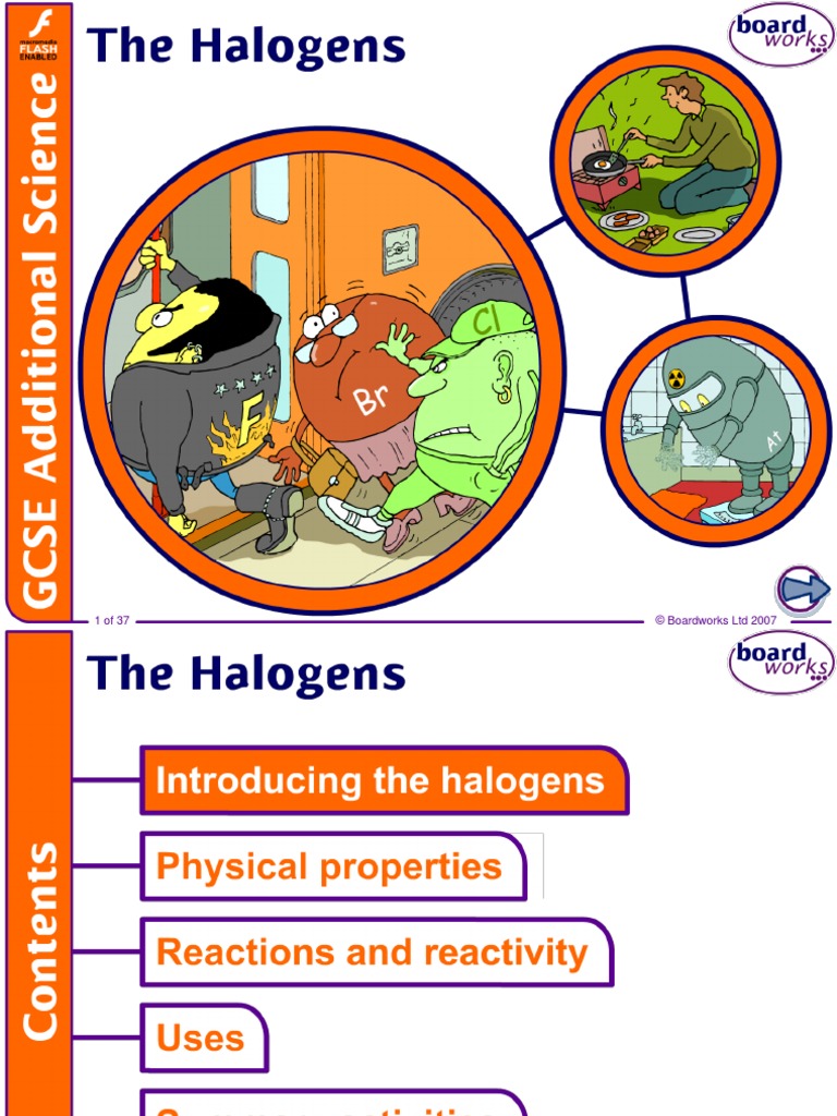 The Halogens v1.0 | PDF | Chlorine | Chloride