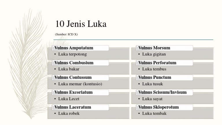 10 Jenis Luka