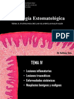 Patología Estomatológica Salivary Glands