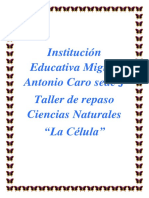 Taller de repaso Ciencias Naturales 6°-7°-8° La Celula.docx