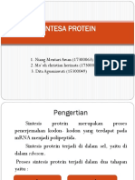 Sintesa Protein