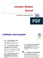 Perkembangan Sistem Syaraf Rev Anto