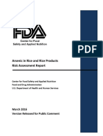 Risk Assesment Report PDF