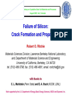 SiliconFailureRitchie2003.pdf